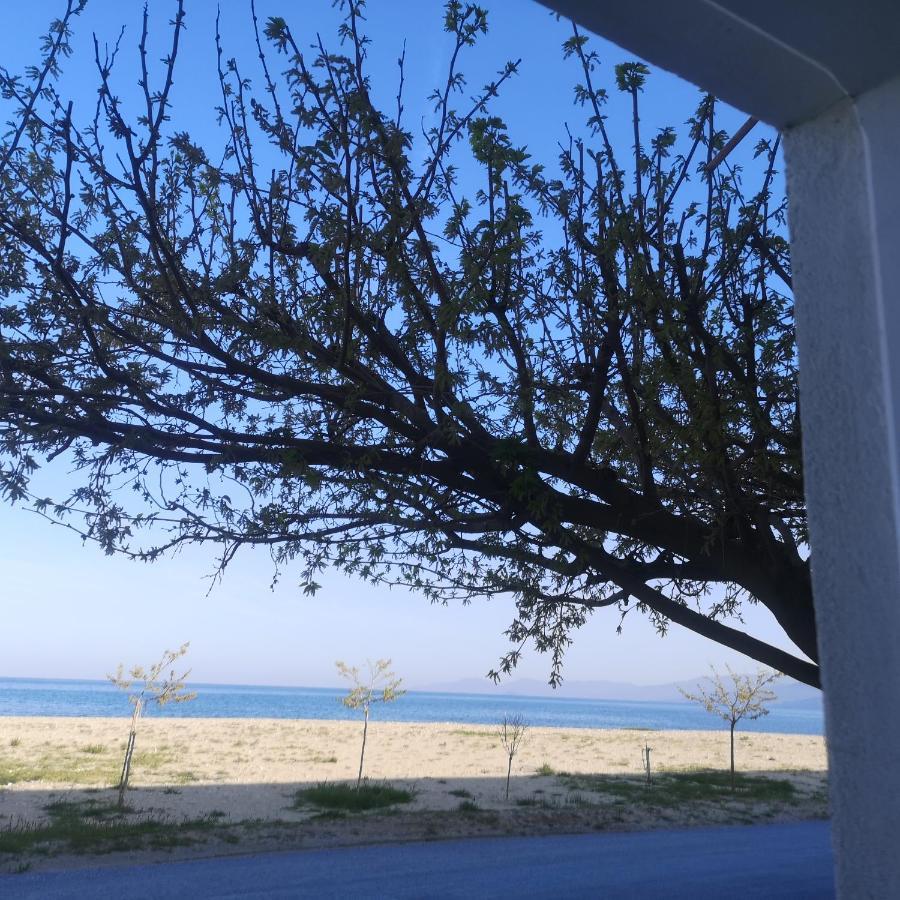 Greece Asprovalta Rooms Accomodation Apartment Hotel Petalo Экстерьер фото