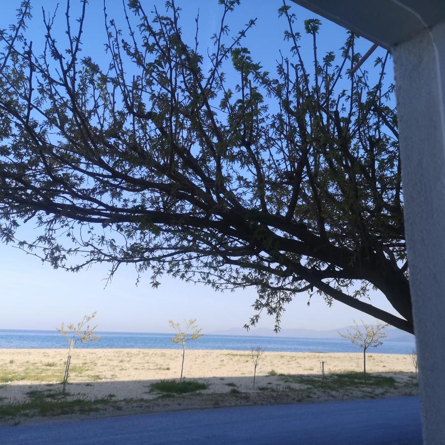 Greece Asprovalta Rooms Accomodation Apartment Hotel Petalo Экстерьер фото